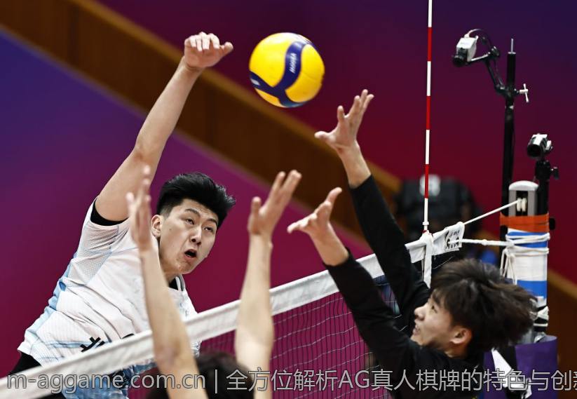 全方位解析AG真人棋牌的特色与创新